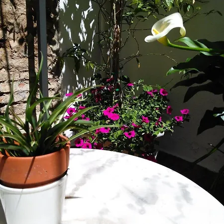 Boutique Puerta Del Rincon 2* Cordoba