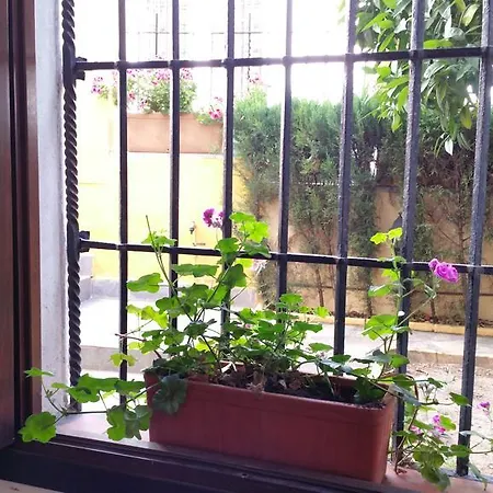 Hotel Casa De Naranjos