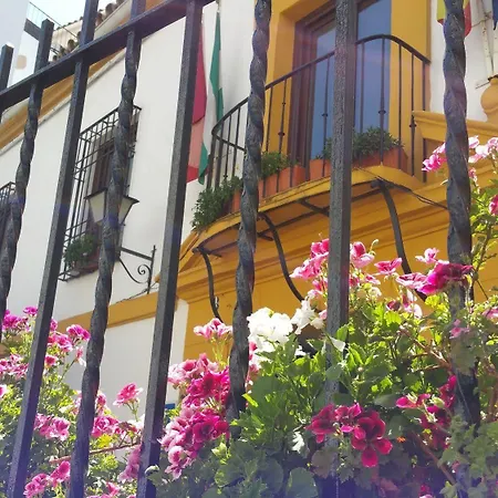 Hotel Casa De Naranjos Córdoba