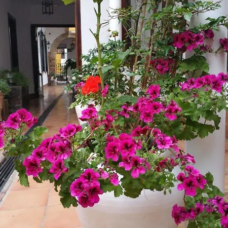 Casa De Naranjos