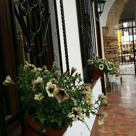 Hotel Casa De Naranjos Córdoba