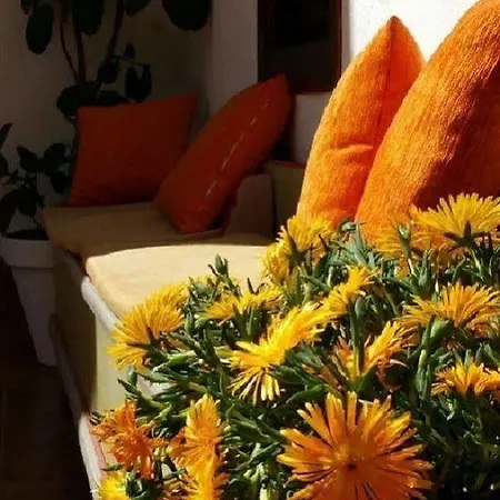 Casa De Naranjos 2* Córdoba